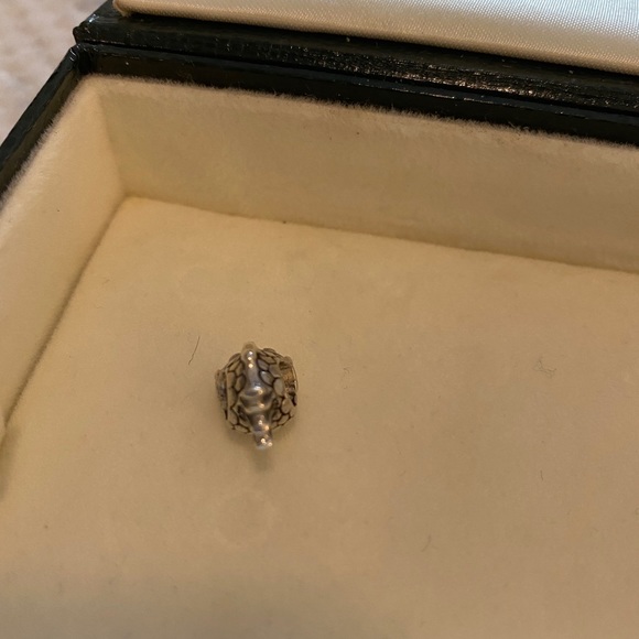 Charm - Picture 7 of 7